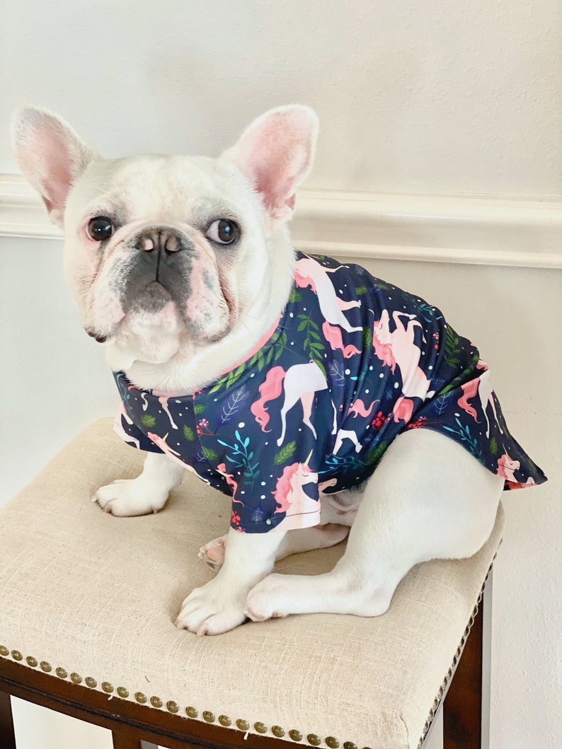 Magical Unicorn Owner and Pet Matching Set