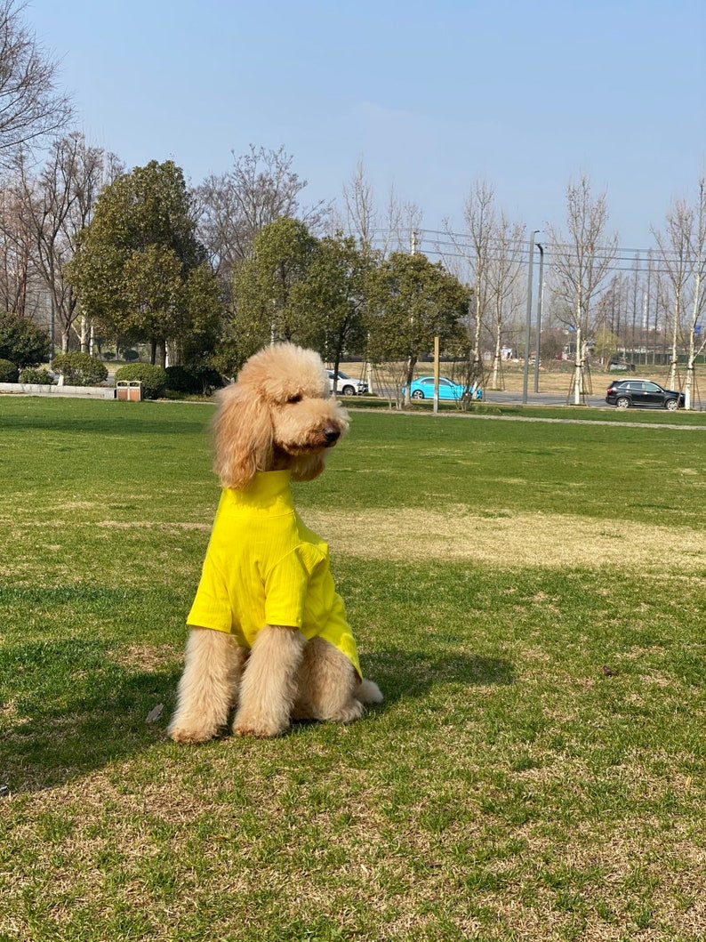 Yellow High Turtle Neck Hipster Long Sleeve Shirt for Big Dog