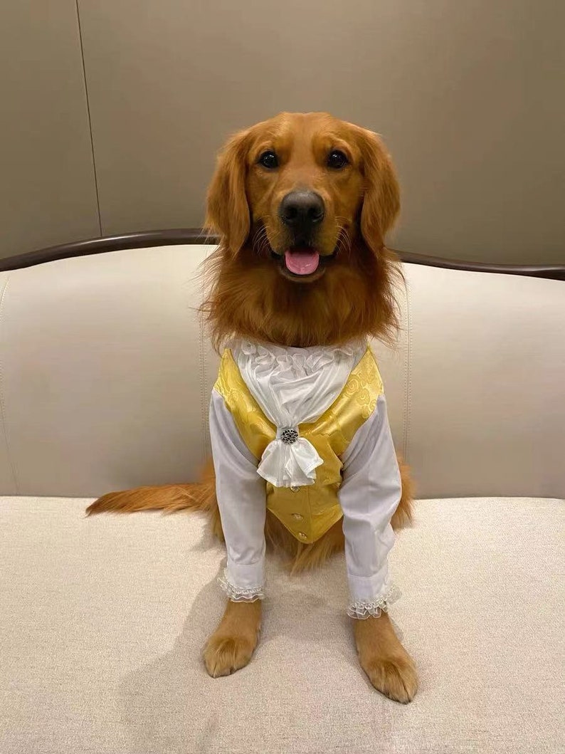 The Beast Pet Custom Made Costume