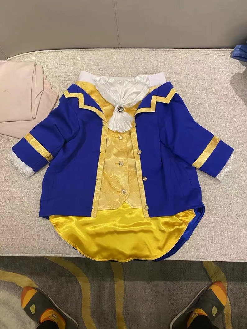 The Beast Pet Custom Made Costume