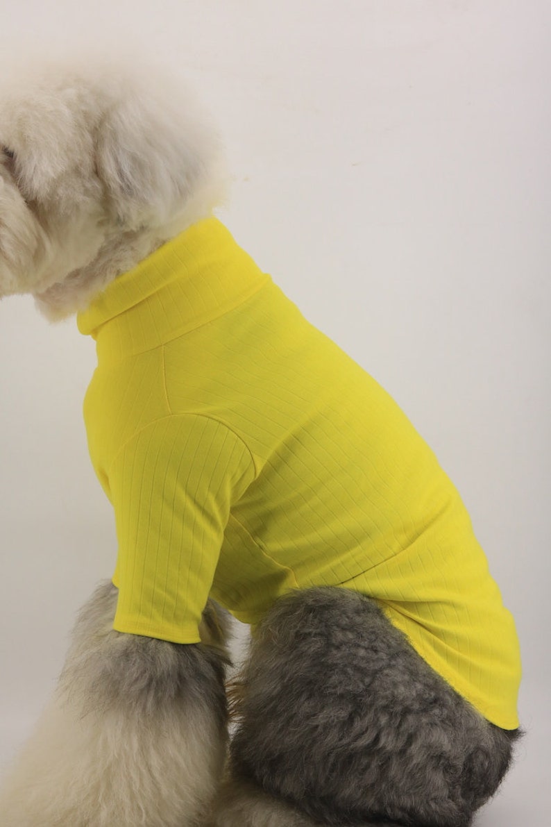 Yellow High Turtle Neck Hipster Long Sleeve Shirt for Big Dog