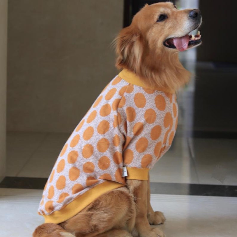 Orange Polka Dot Sweater for Big Dog
