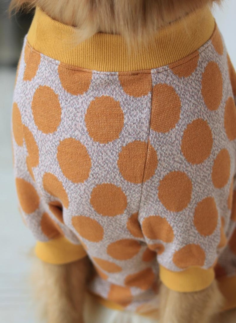 Orange Polka Dot Sweater for Big Dog
