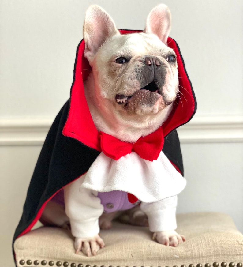 Vampire Dracula Twilight Count von Count Muppet Costume