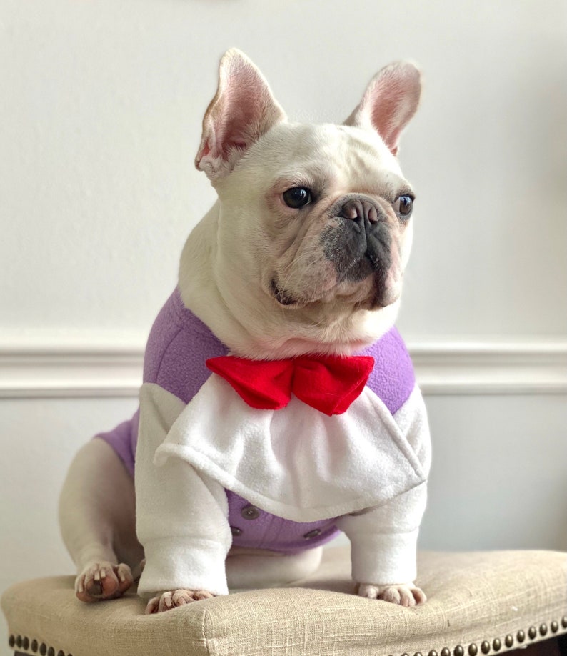 Vampire Dracula Twilight Count von Count Muppet Costume