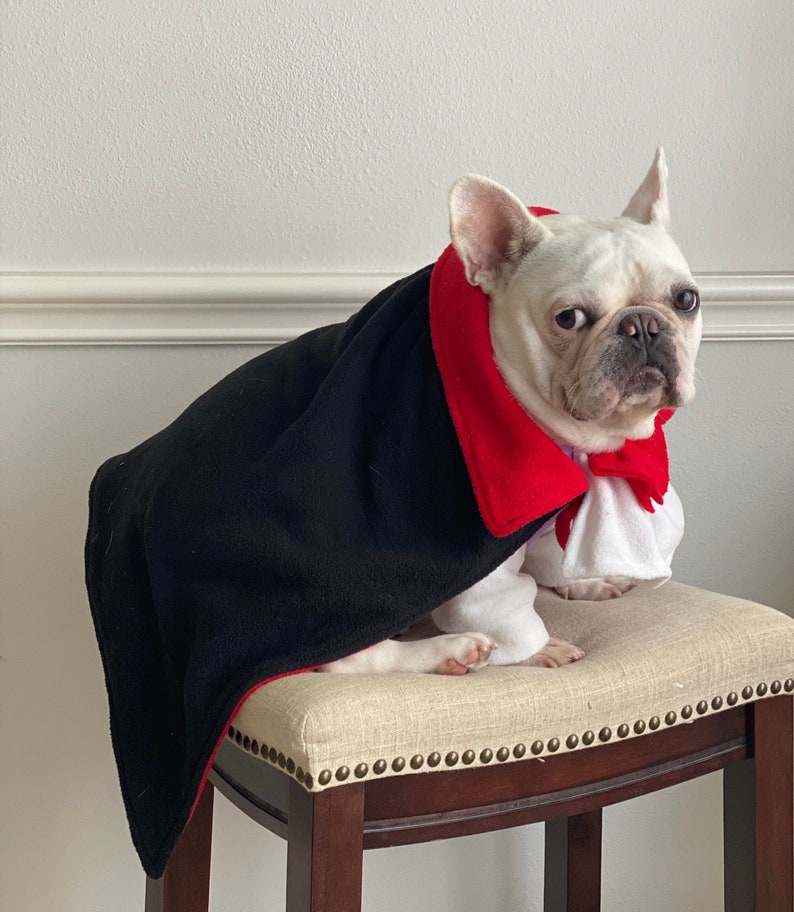 Vampire Dracula Twilight Count von Count Muppet Costume