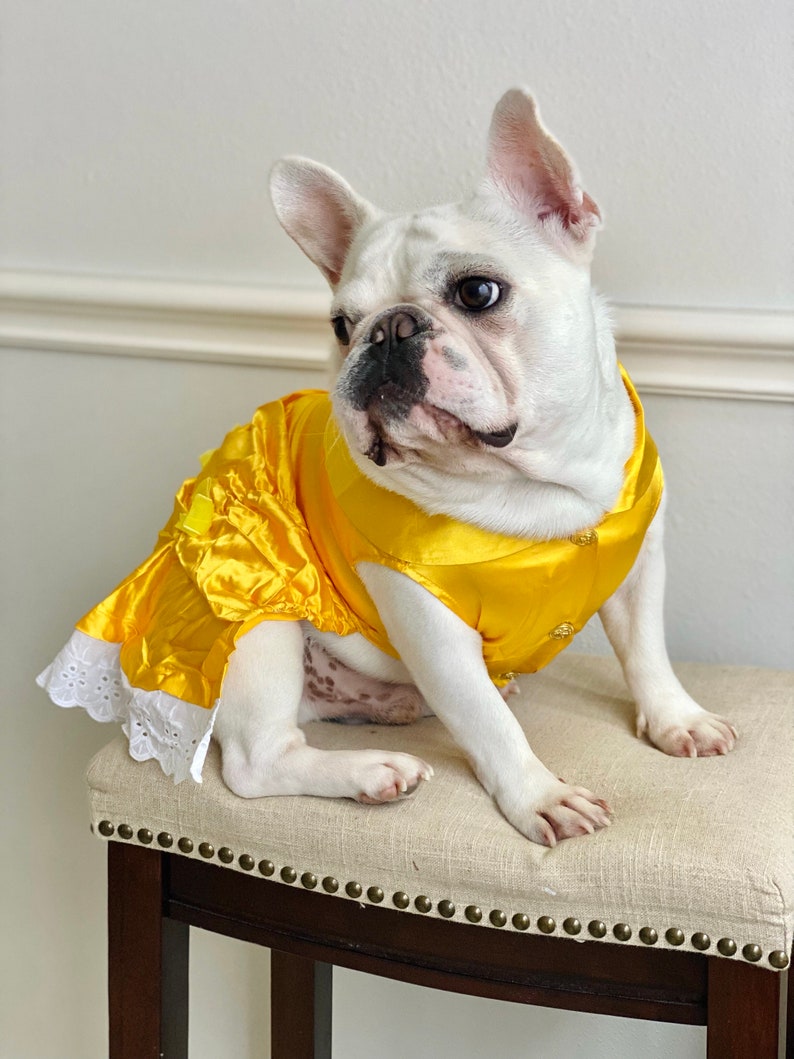 Belle Princess Yellow Golden Dress