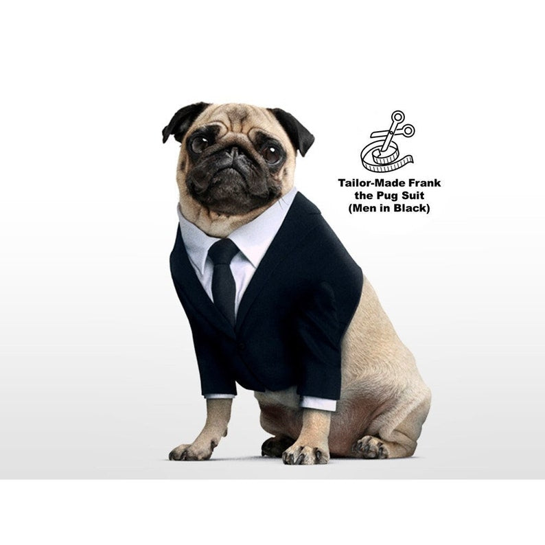 Frank the Pug Dog Costume Black Suit Custom Made fit-frenchie.com Frank the Pug Dog Costume Black Suit Custom Made fit-frenchie.com