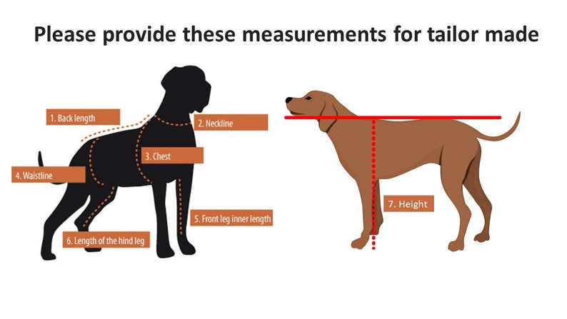 The Beast Pet Custom Made Costume