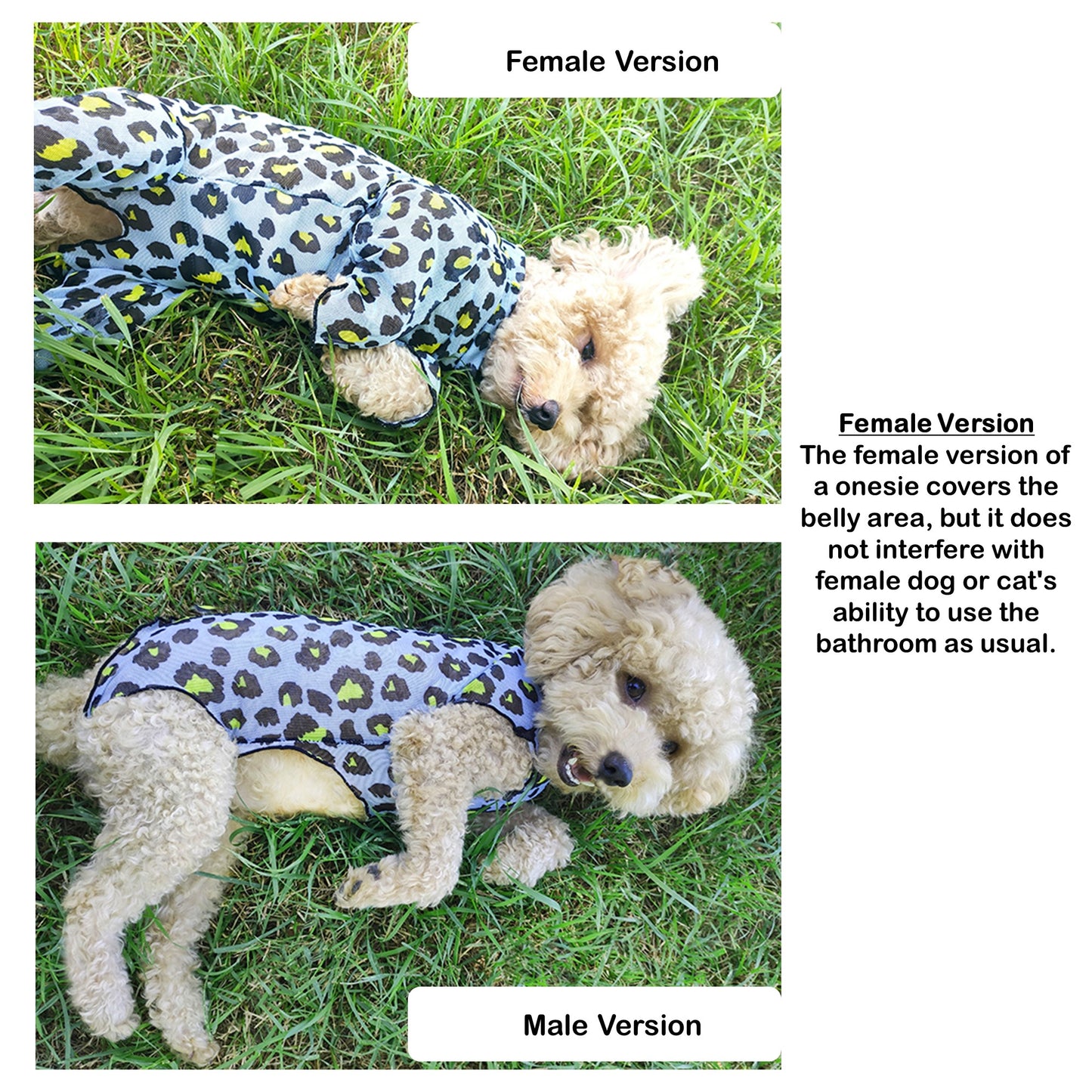 Dog and Cat with Sensitive Skin Sunblock Mesh Jumpsuit