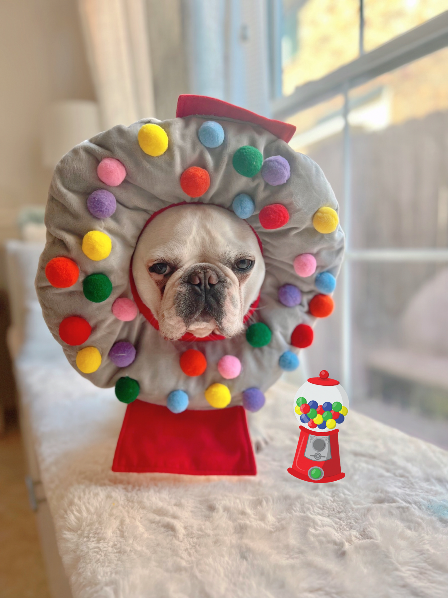 Gumball Machine Mascot Costume