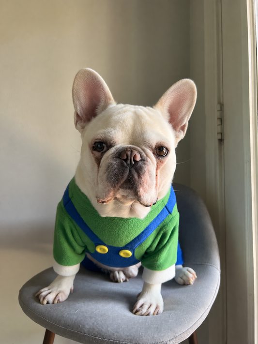 Green and Blue Overall for Dog Cat Pet