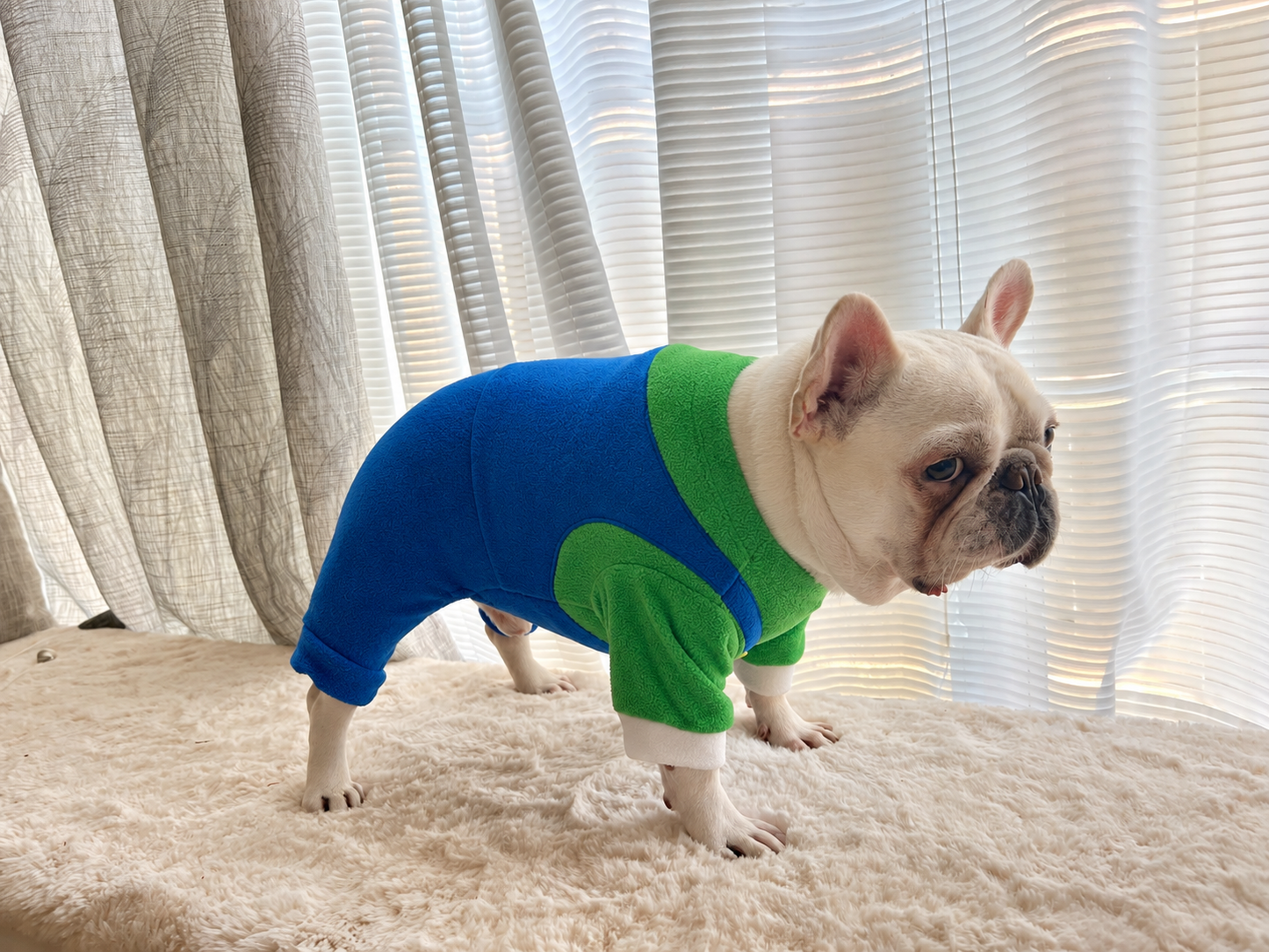 Green and Blue Overall for Dog Cat Pet