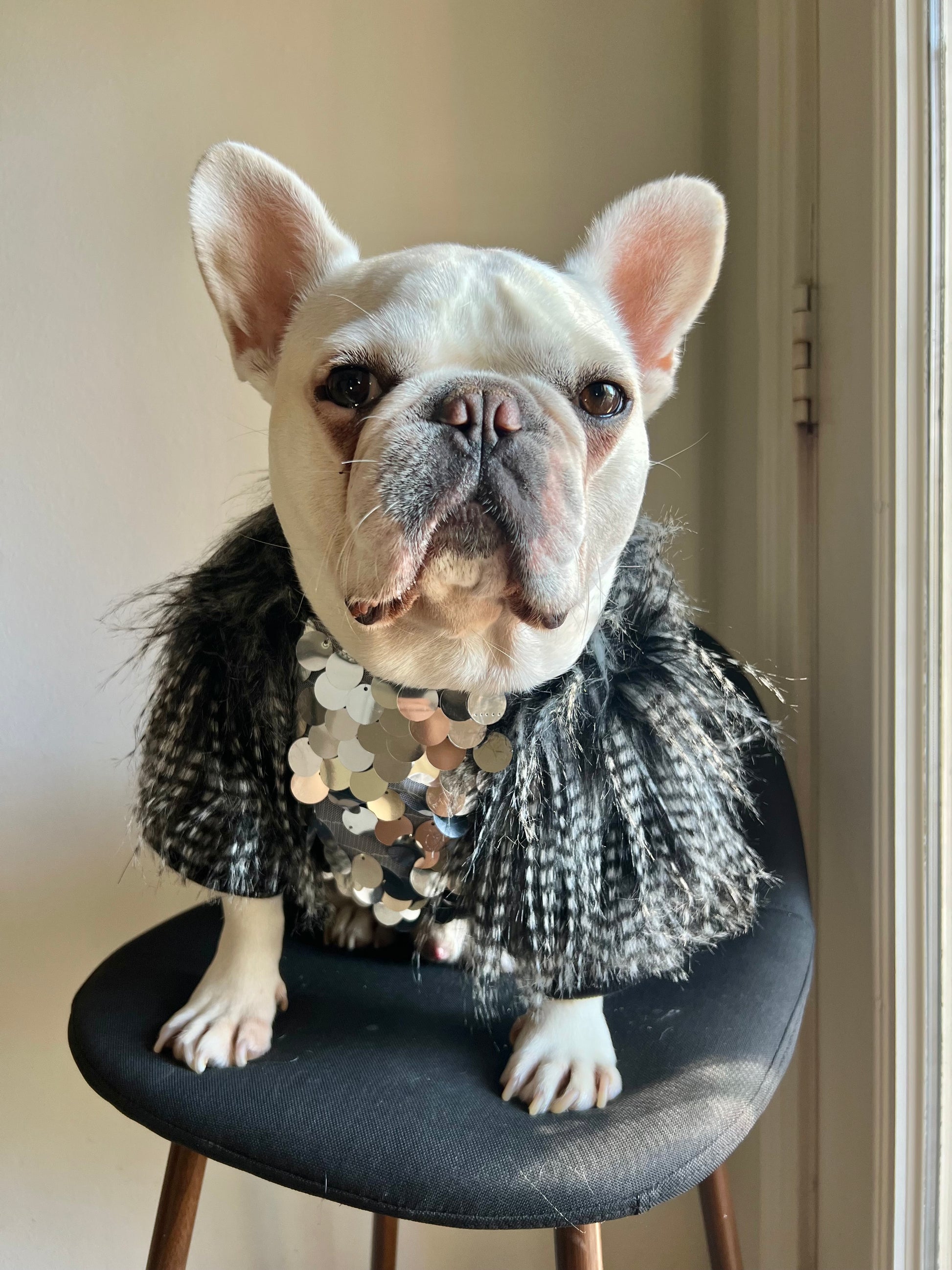 bulldog sequin dress Bulldogs Sequin Patch T-Shirt Dress Black Anchored Bliss Boutique