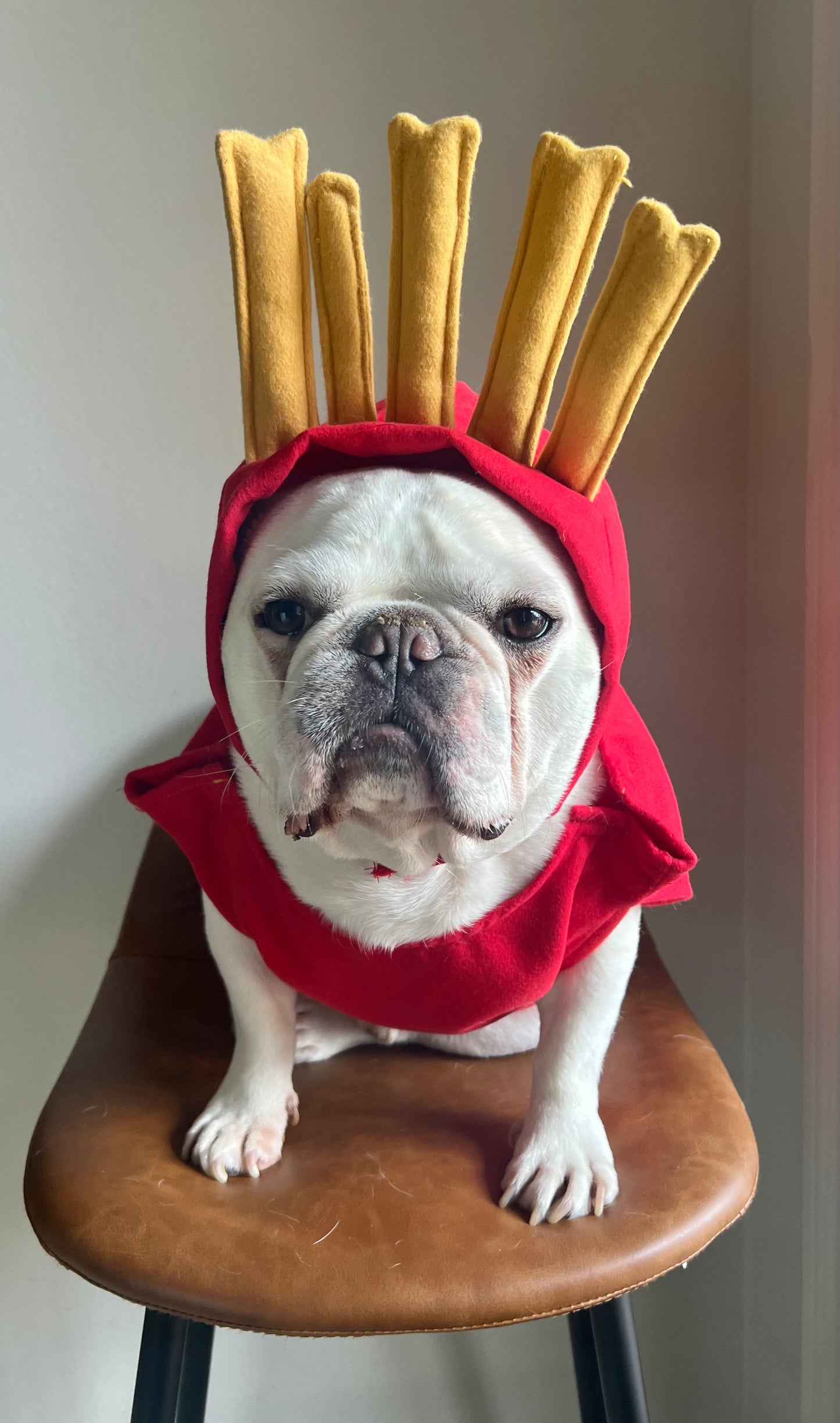 Funny French Fries Cat Dog Pet Costume