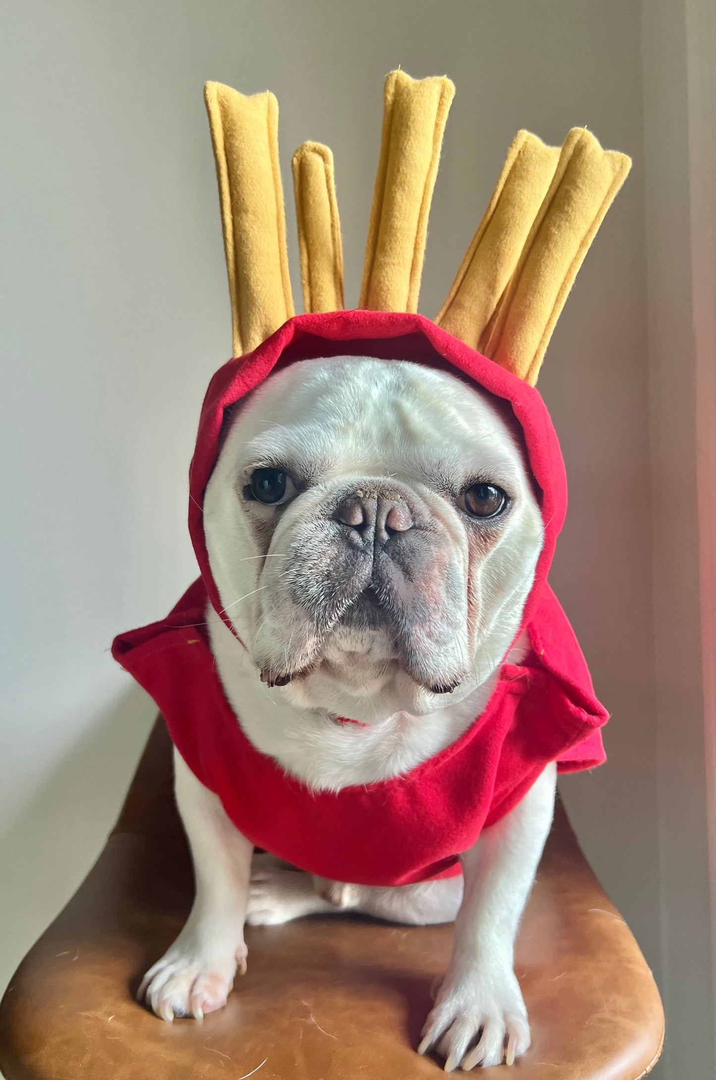 Funny French Fries Cat Dog Pet Costume