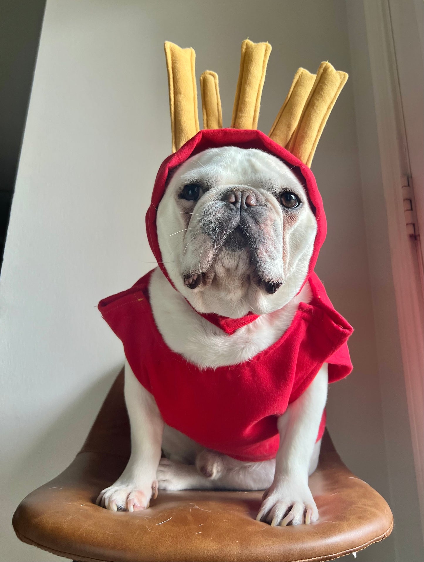 Funny French Fries Cat Dog Pet Costume