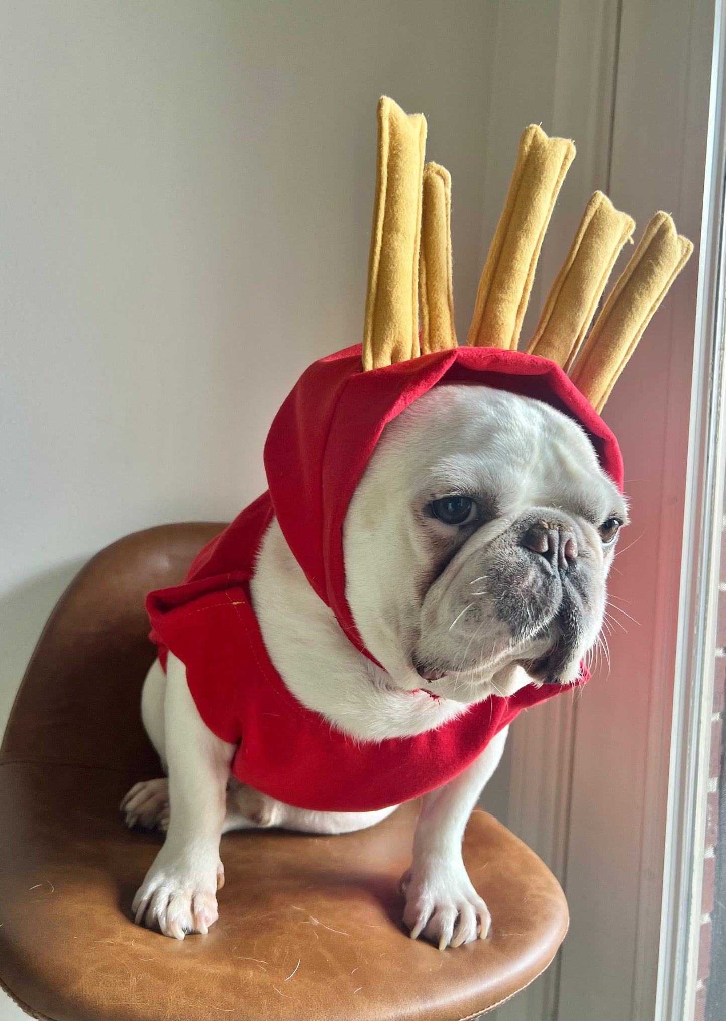 Funny French Fries Cat Dog Pet Costume