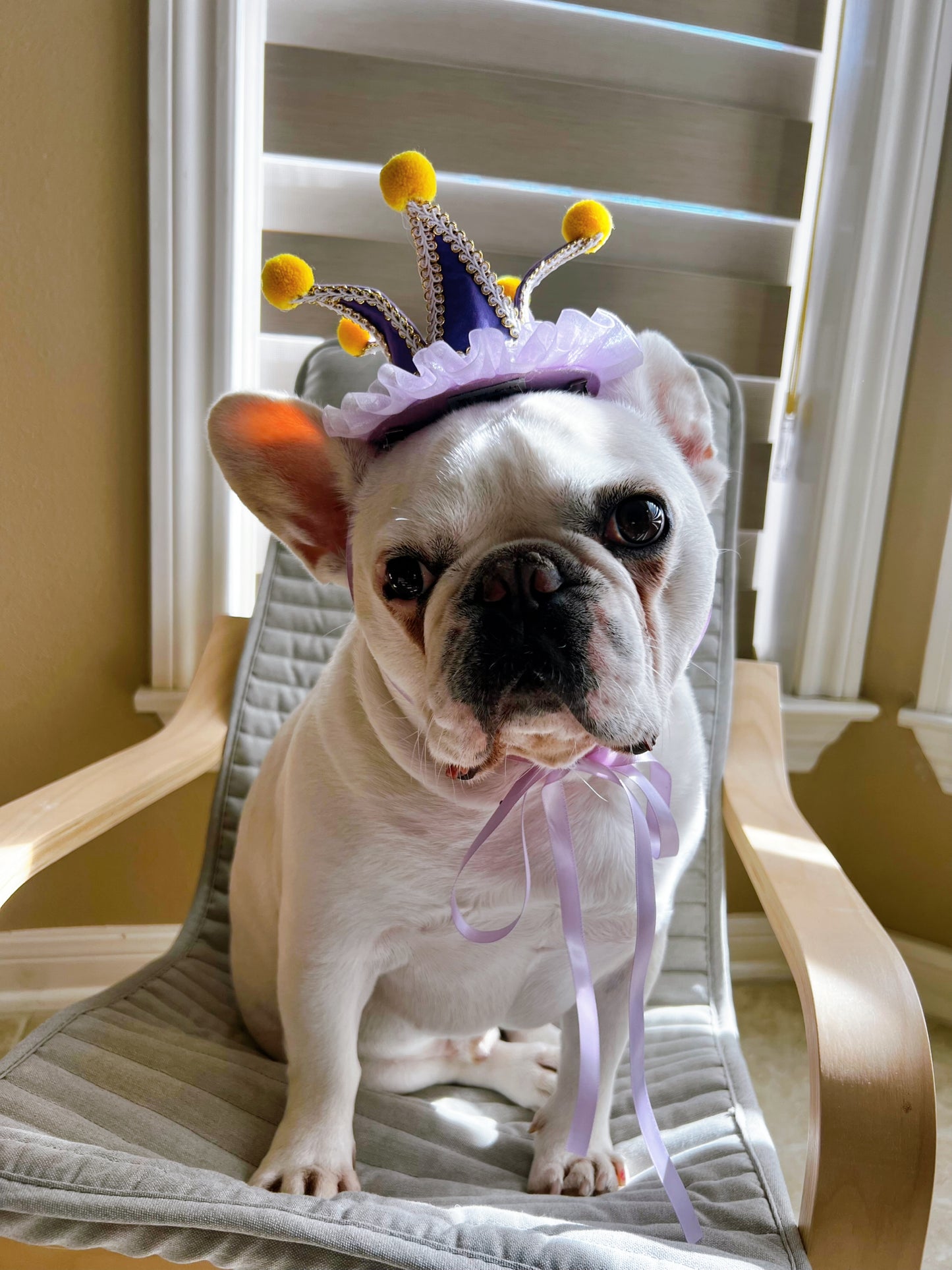 Circus Celebration Crown Mardi Gras Costume Jester Hat