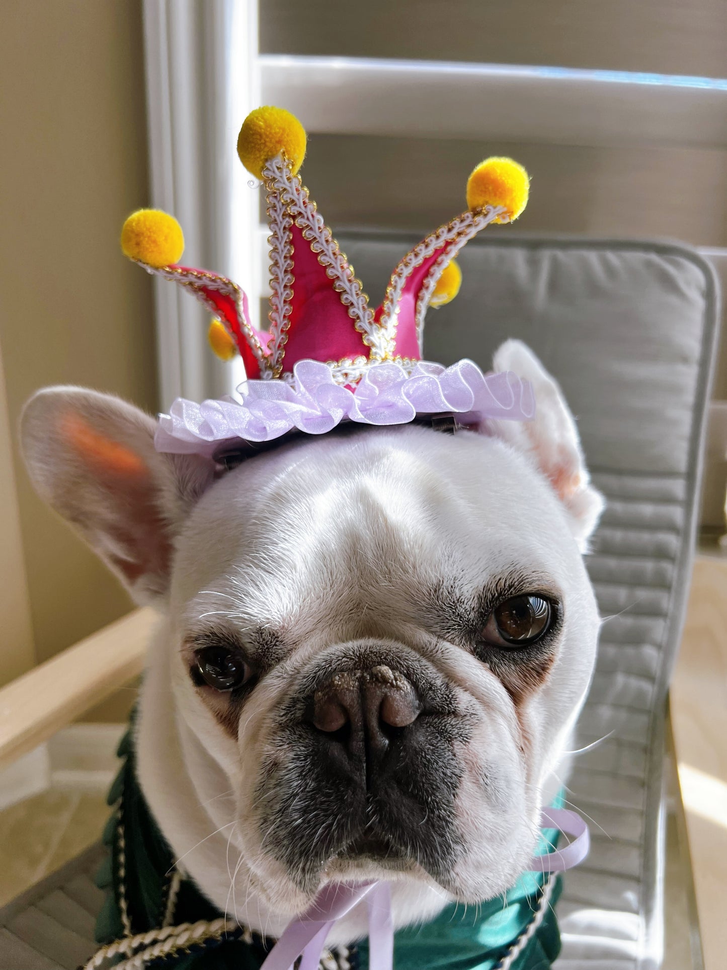 Circus Celebration Crown Mardi Gras Costume Jester Hat