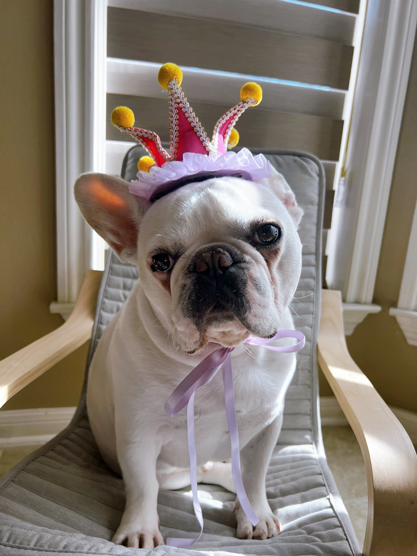 Circus Celebration Crown Mardi Gras Costume Jester Hat