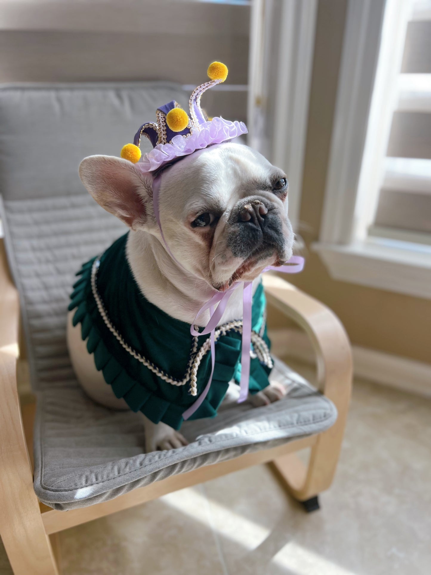 Circus Celebration Crown Mardi Gras Costume Jester Hat