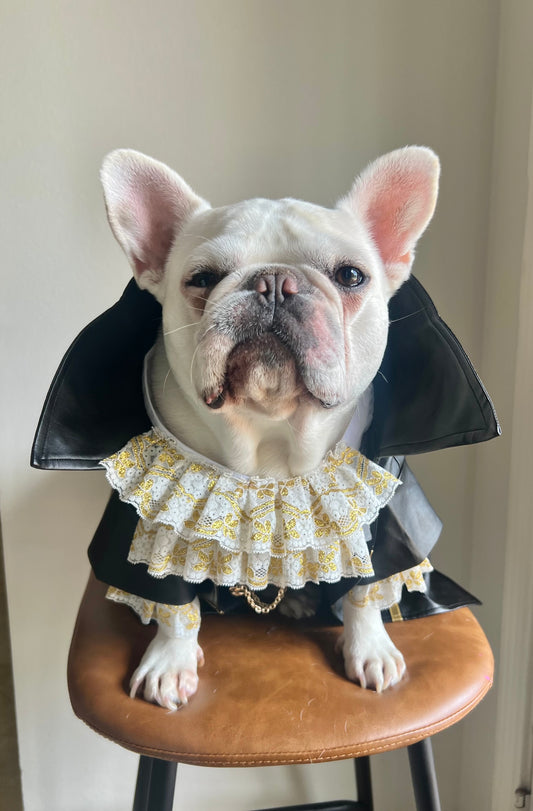 Tailor-Made Vampire Dracula Pet Costume Suit with Ruffle Collar and  Faux Leather Cape