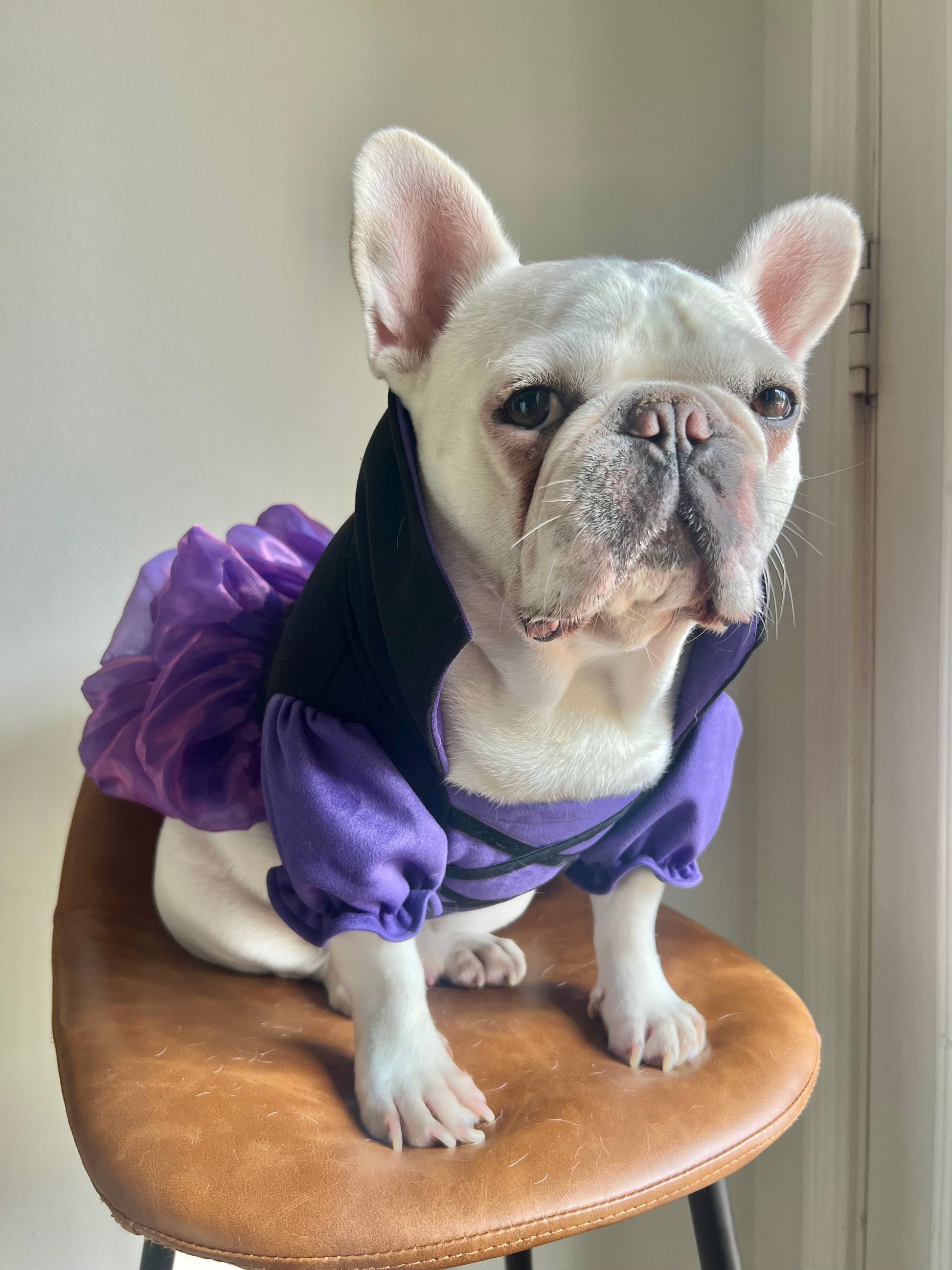 purple dog dresses Custom Dog Wedding Dress Long Train Gown, Sparkly Purple Long Trail Dress for Large Dogs and Cats, Birthday Party Dog Dress Pets Clothes