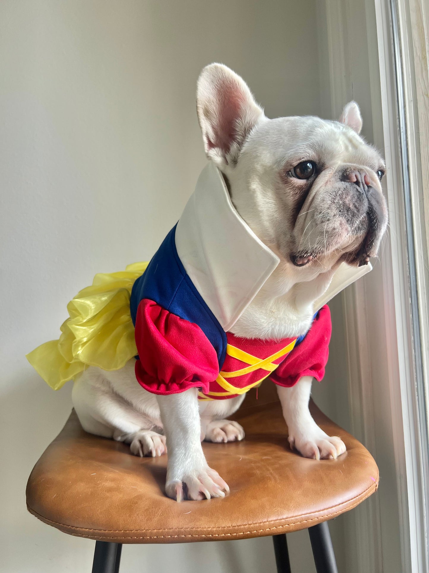 Fairytale Princess Pet Costume, Red, Blue & Yellow Dress Colorful Dress with Puffy Sleeves