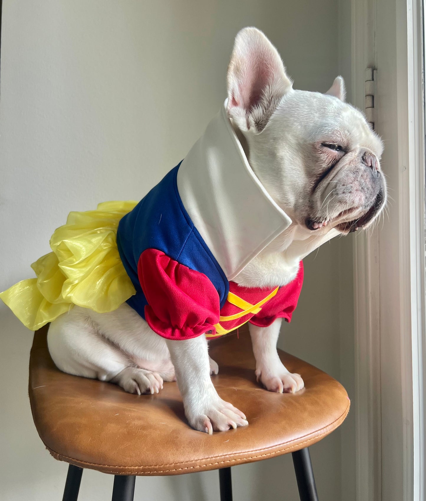 Fairytale Princess Pet Costume, Red, Blue & Yellow Dress Colorful Dress with Puffy Sleeves