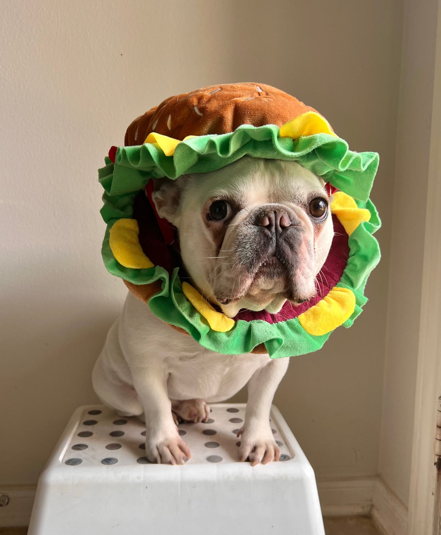 Burger Mascot Costume