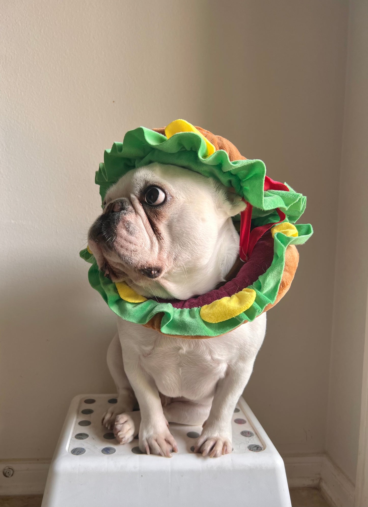 Burger Mascot Costume