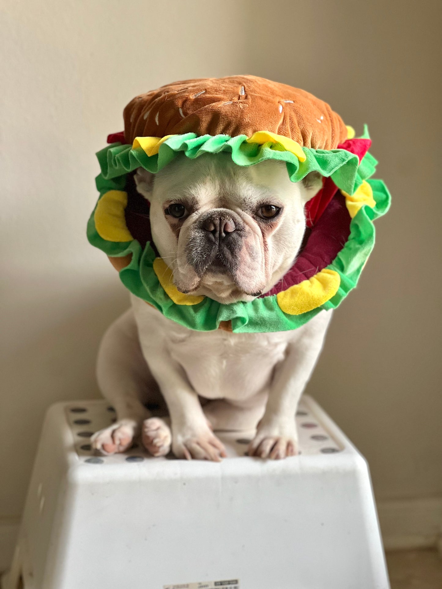 Burger Mascot Costume