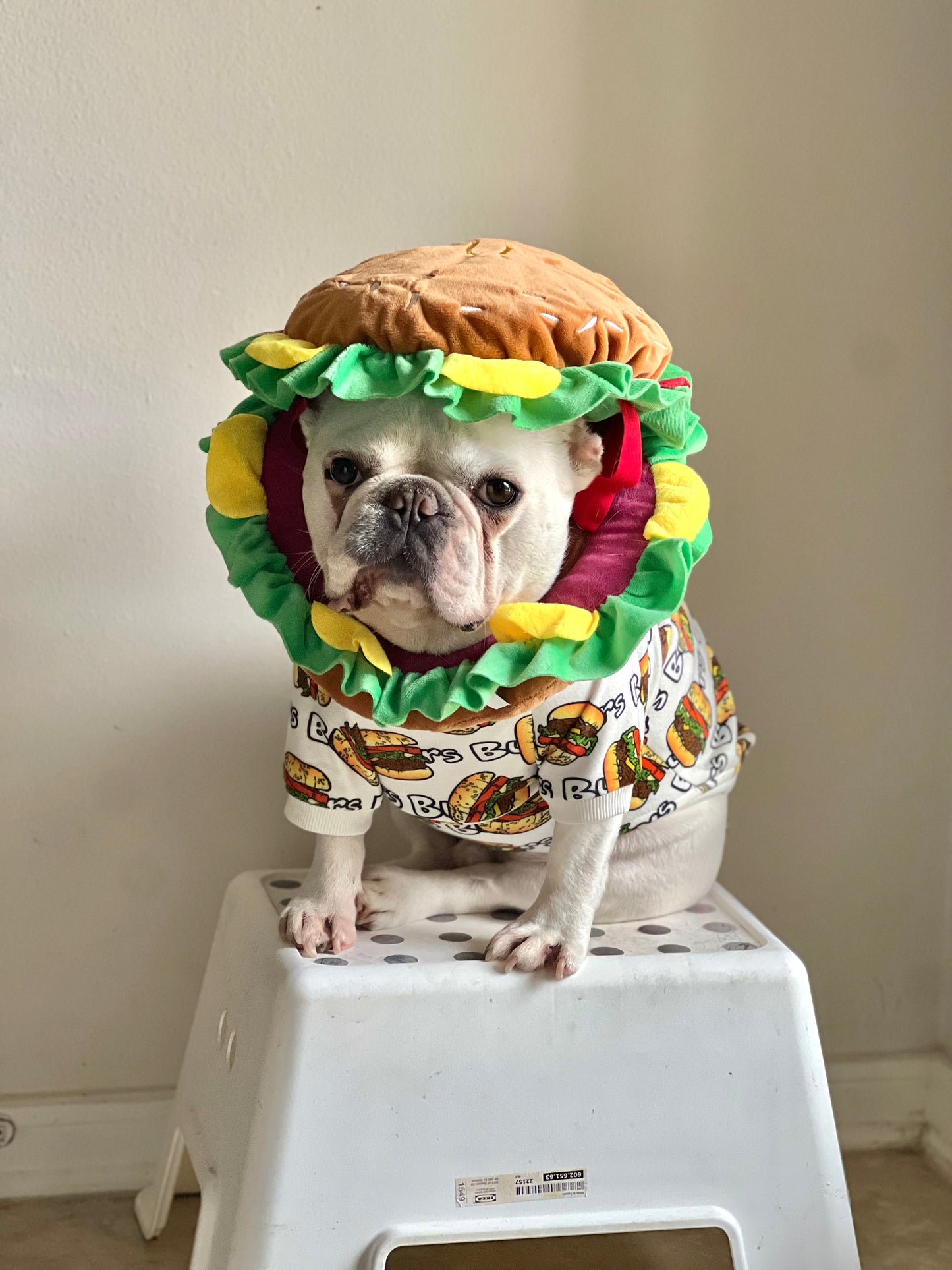 Burger Mascot Costume