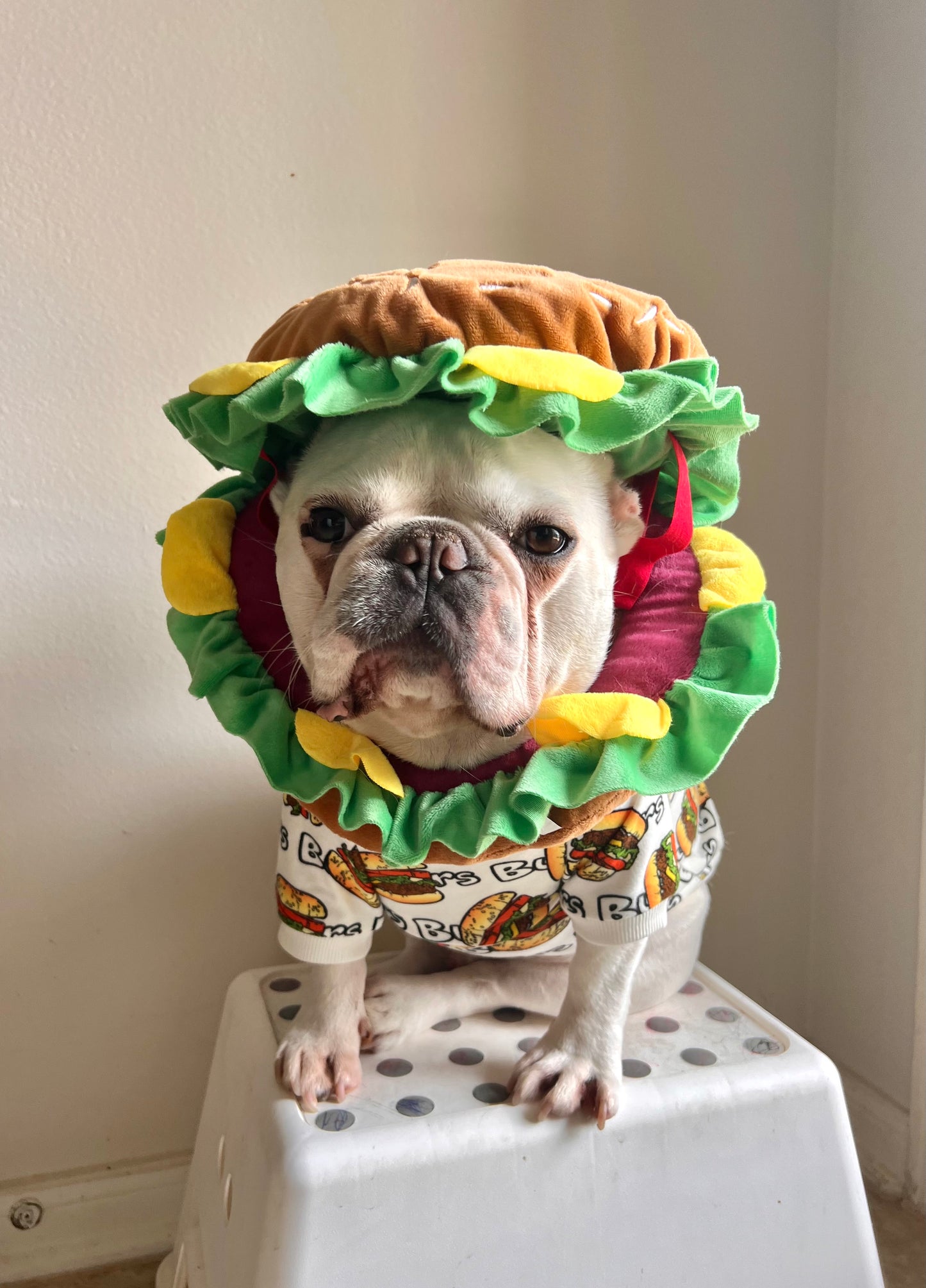 Burger Mascot Costume