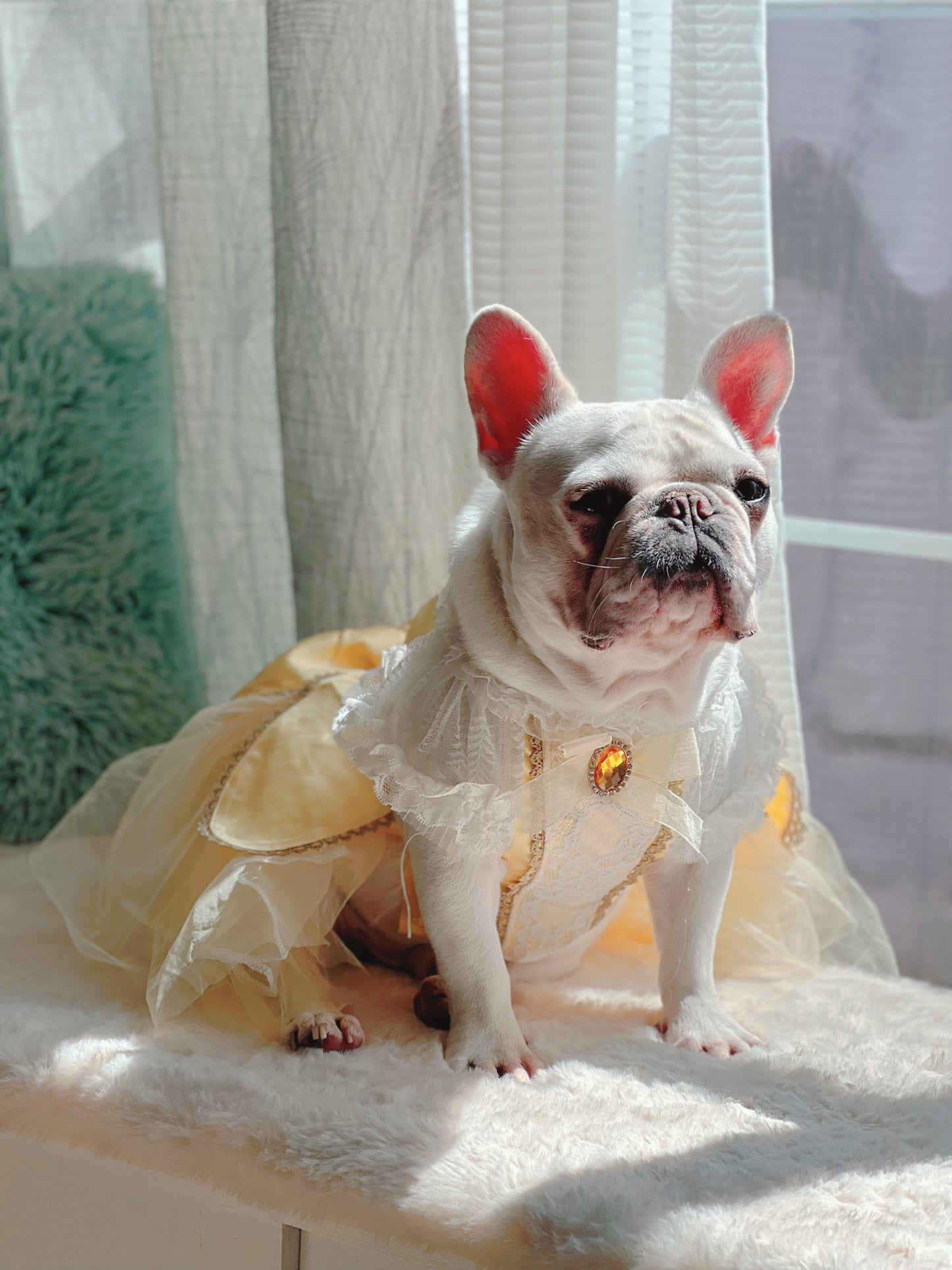 Princess Prom Dress - Custom Color Available