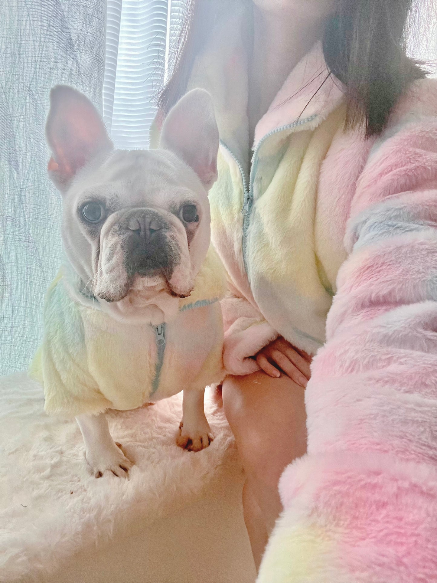 Pastel Dream Swifties Vibes Owner Cardigan and Pet Matching Set