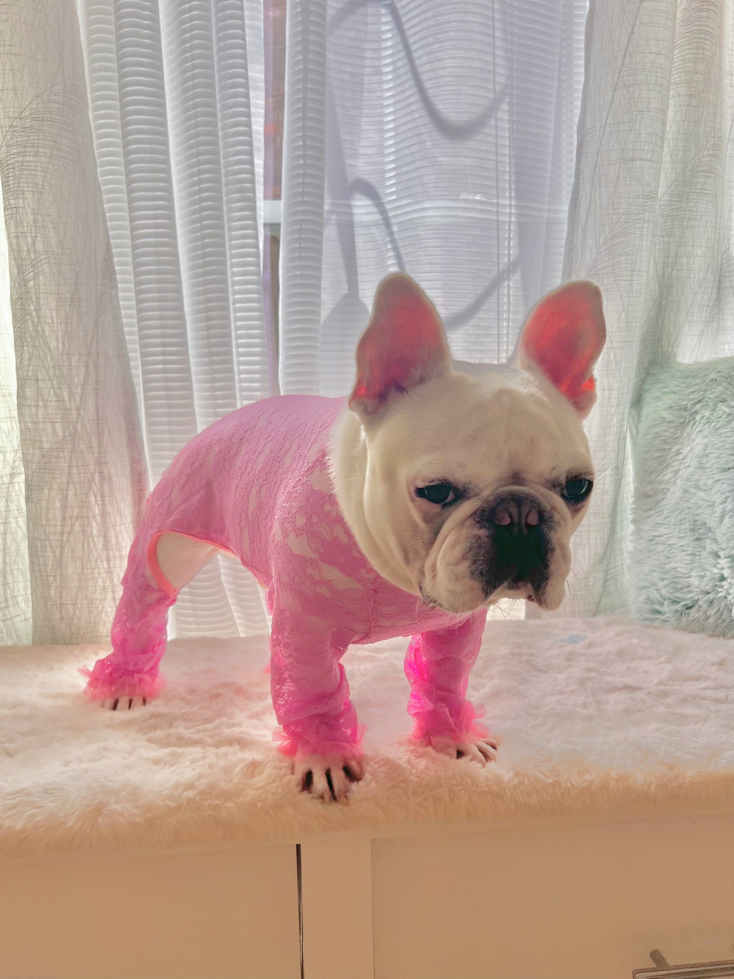 Pink Lace Jumpsuit