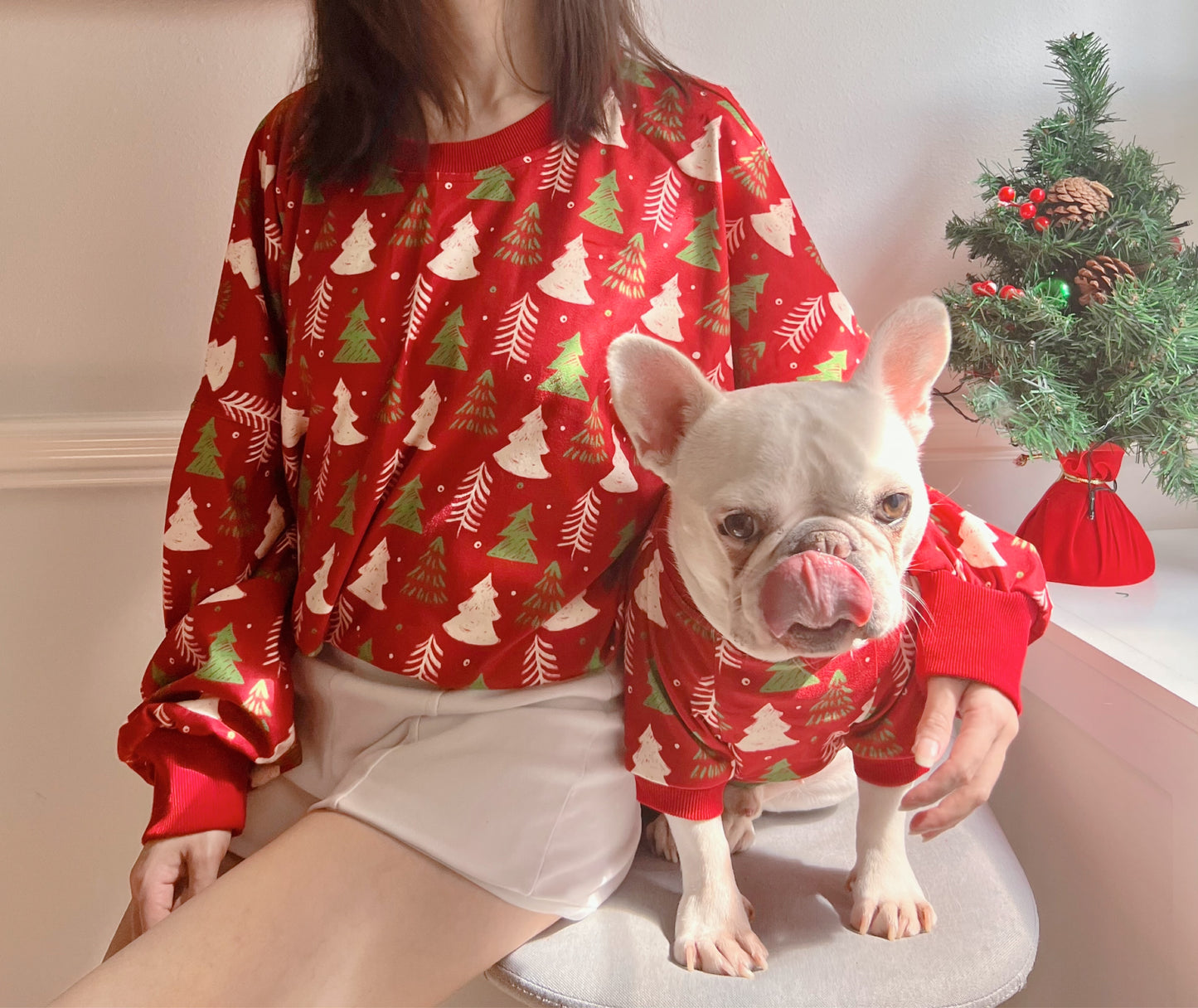 Christmas Holidays in Red Owner and Pet Family Matching Set
