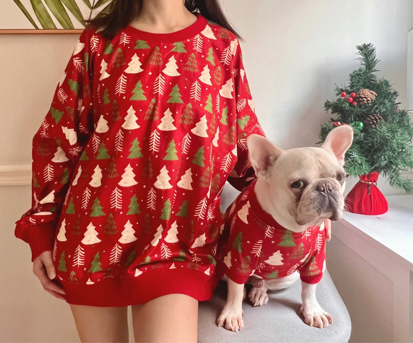 Christmas Holidays in Red Owner and Pet Family Matching Set