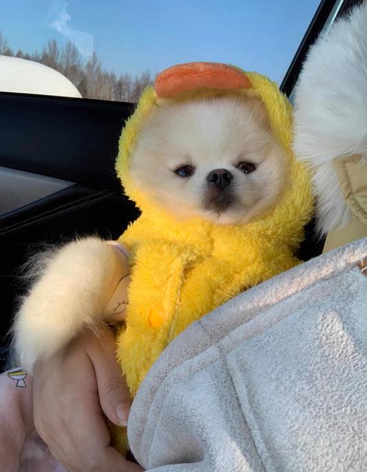 Classic Yellow Duck Costume Hoodie