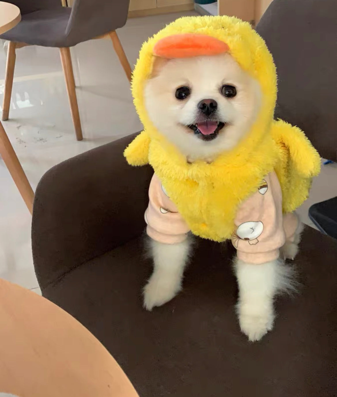 Classic Yellow Duck Costume Hoodie