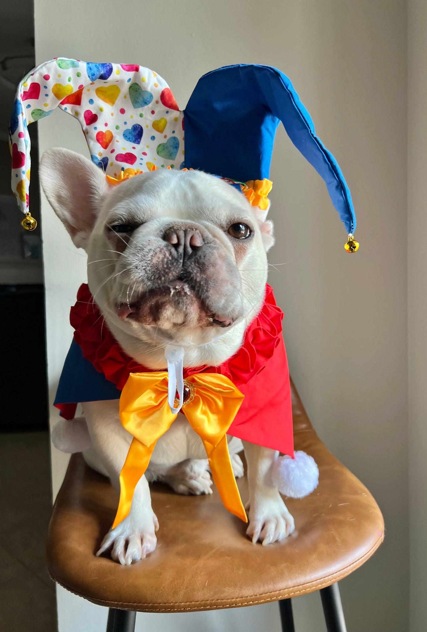 Dog Cat Jester Hat & Bandana Set Clown Joker Costume