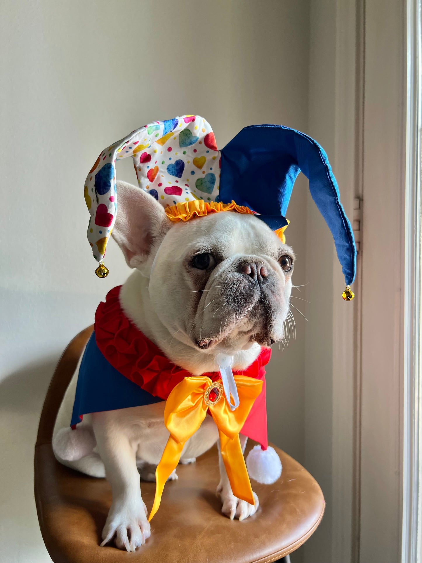 Dog Cat Jester Hat & Bandana Set Clown Joker Costume