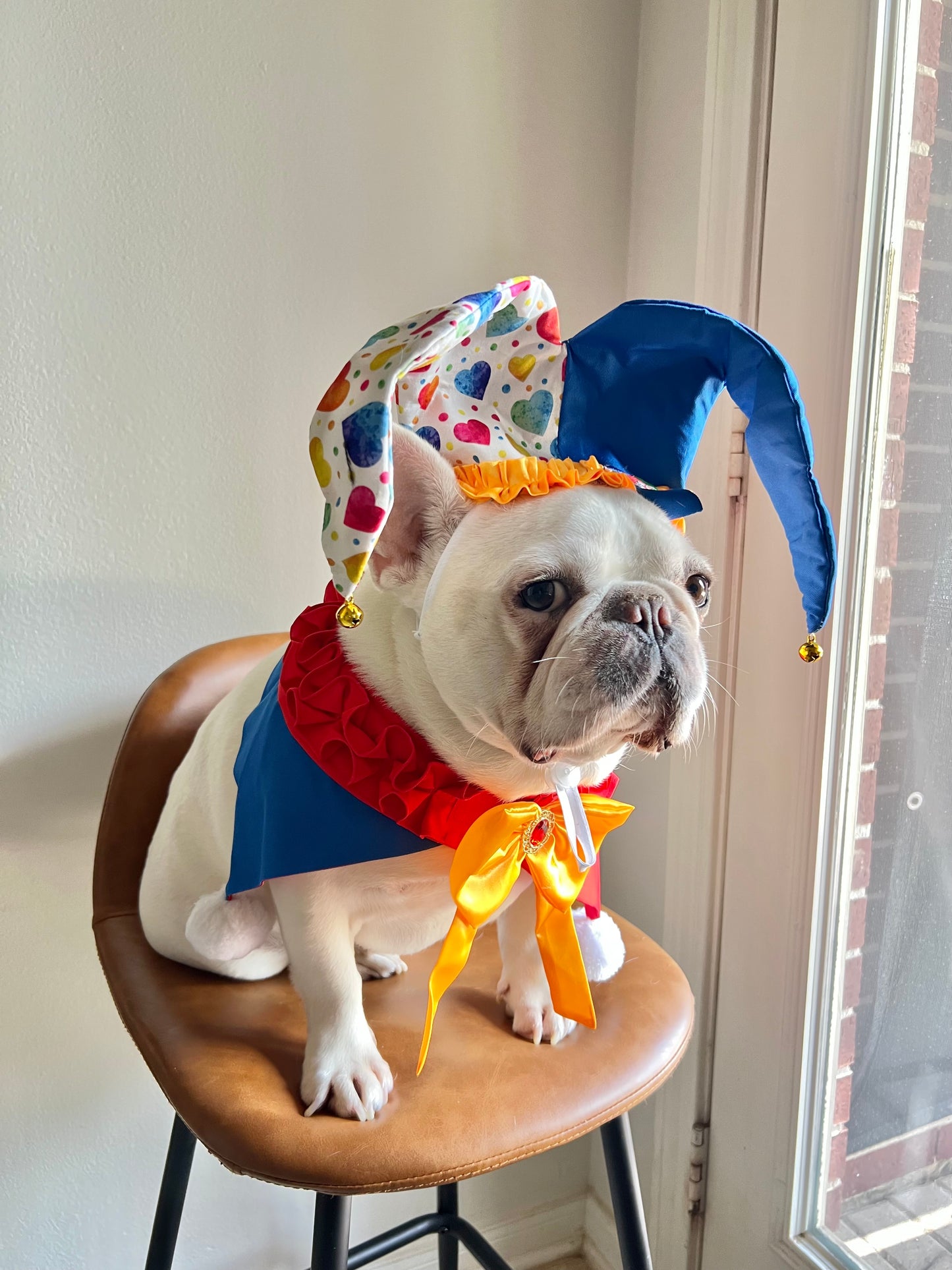 Dog Cat Jester Hat & Bandana Set Clown Joker Costume