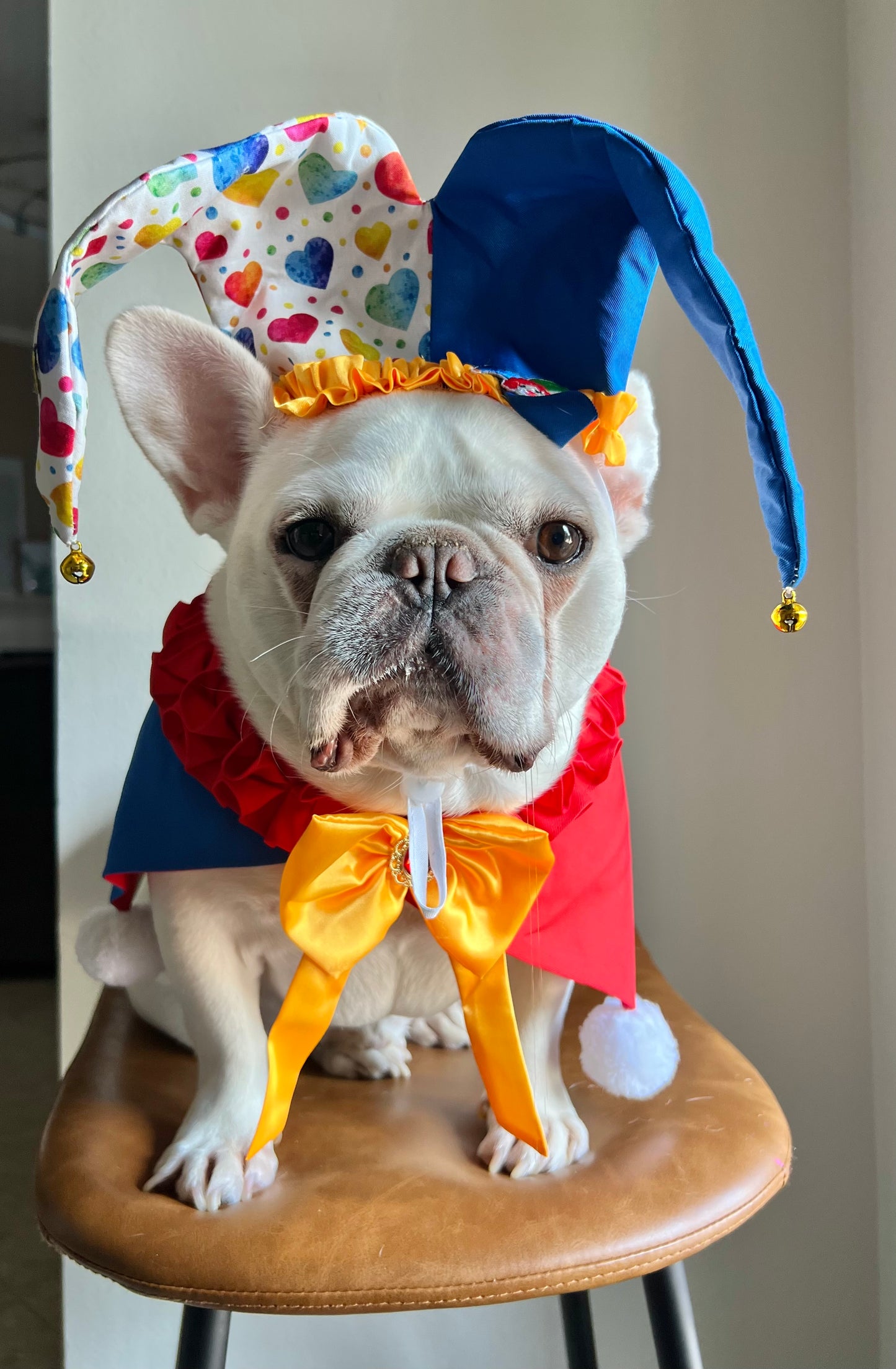 Dog Cat Jester Hat & Bandana Set Clown Joker Costume