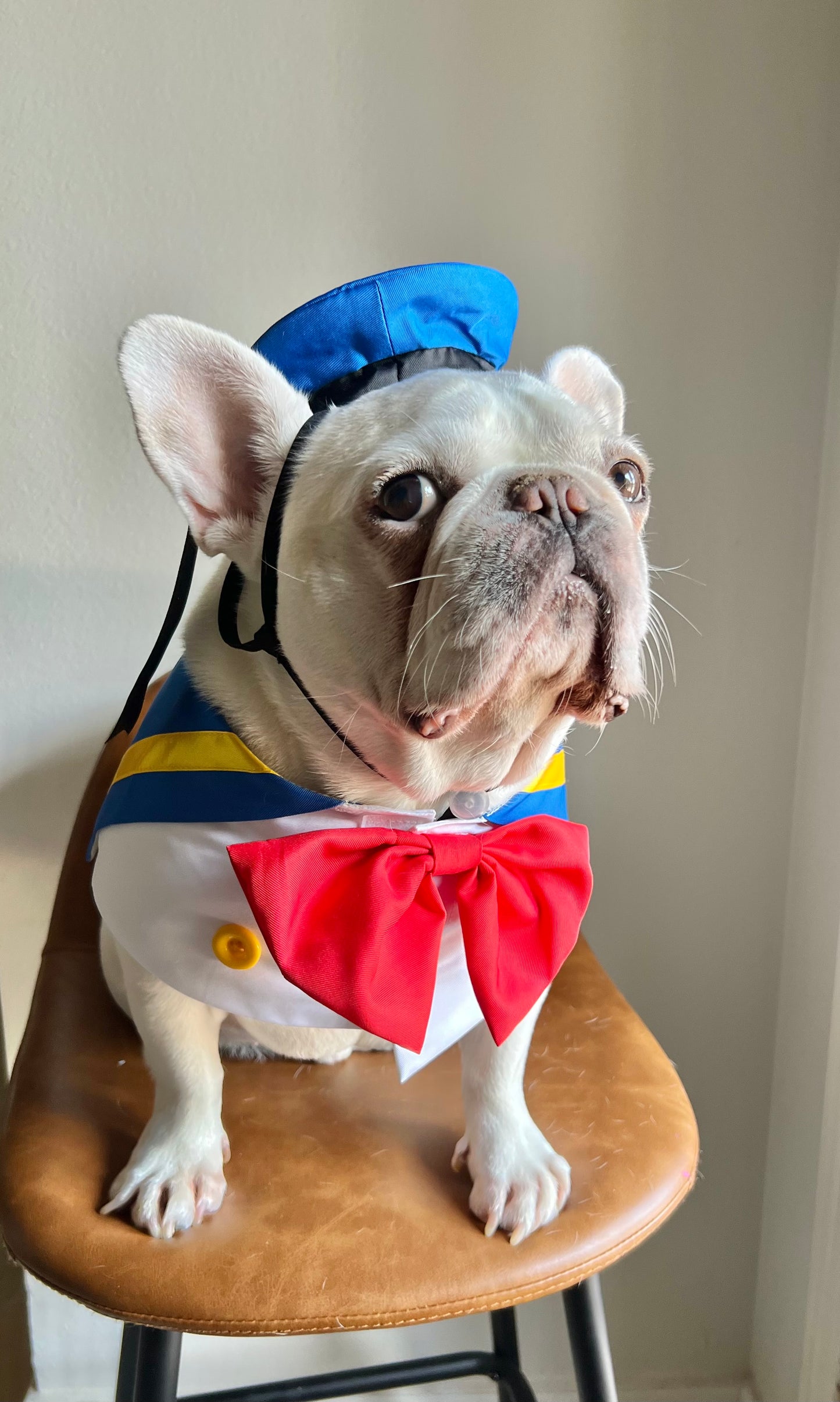 Sailor Nautical Pet Blue Sailor Hat & Bandana Set