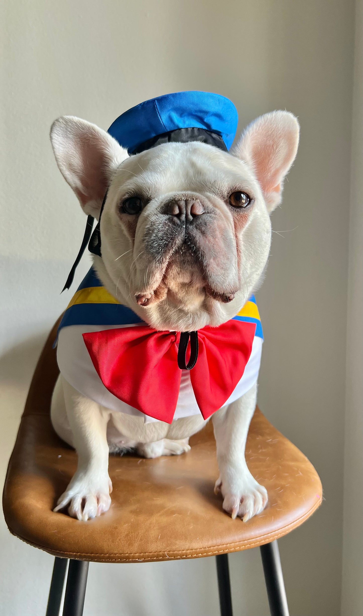 Sailor Nautical Pet Blue Sailor Hat & Bandana Set