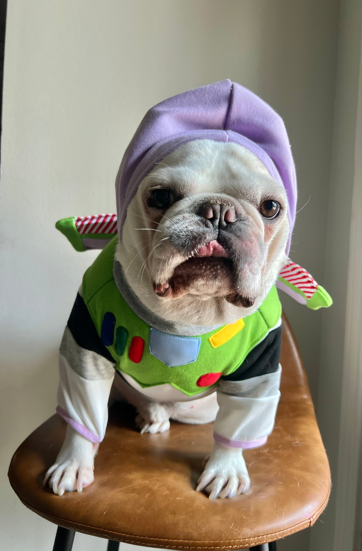 Space Ranger Astronaut Sci-Fi Pet Costume