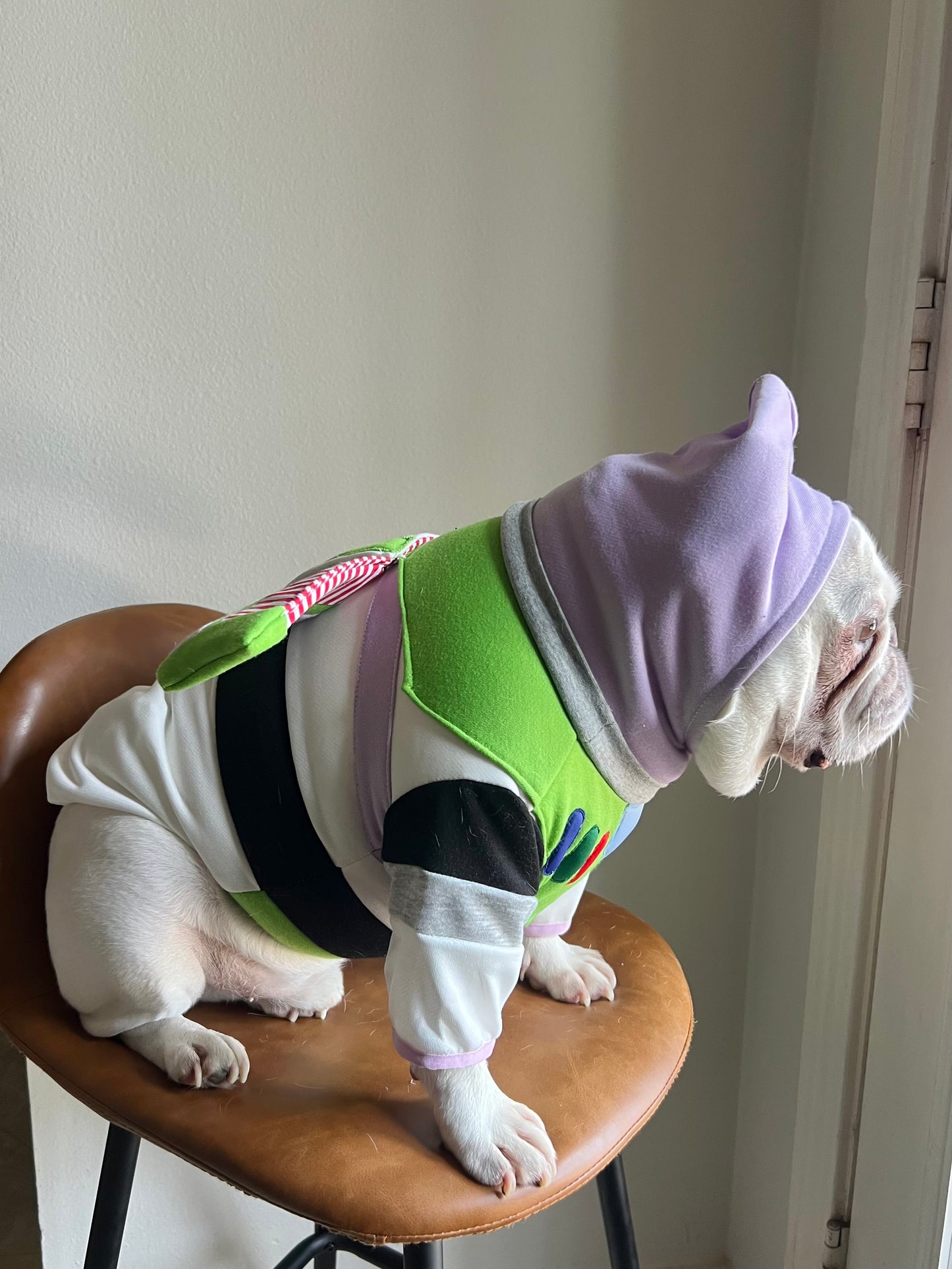 Space Ranger Astronaut Sci-Fi Pet Costume